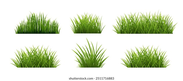 Green Grass Set Isolated Background , Vector Illustration