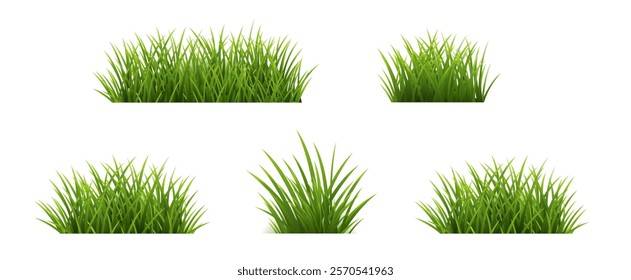Green Grass Set Isolated Background, Vector Illustration