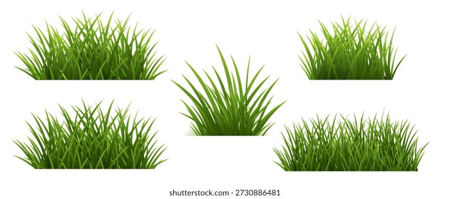 Fondo aislado verde del sistema de la hierba, Ilustración vectorial