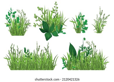Green grass set with isolated images of ripe fresh leaves piles with stalks on blank background vector illustration