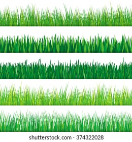 Green grass set. Isolated on white background. Vector illustration