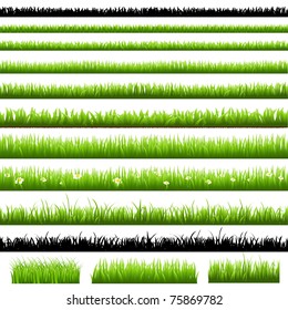 Green Grass Set, Isolated On White Background, Vector Illustration