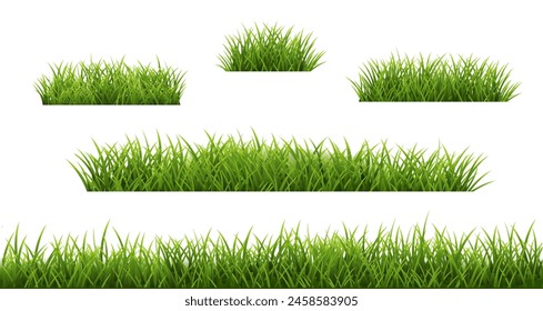 Green Grass Set Isolated White Background 
With Gradient Mesh, Vector Illustration