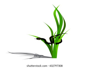 A green grass with a shadow and a black snake with a yellow pattern on a white background