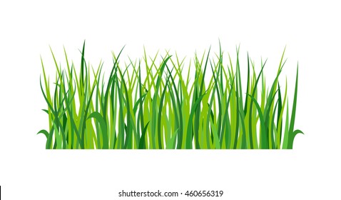 Green Grass Showing Roots