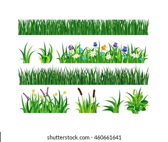 Green grass showing roots