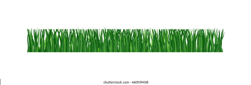 Green grass showing roots