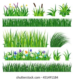 Green grass showing roots vector illustration isolated on white background. Summer natural  grassy green elements