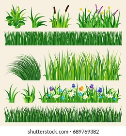 Green grass showing roots vector illustration isolated on white background. Summer natural  grassy green elements