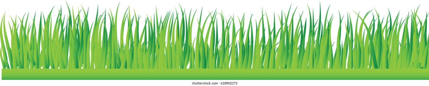 Green grass, shrubs, vector Illustration
