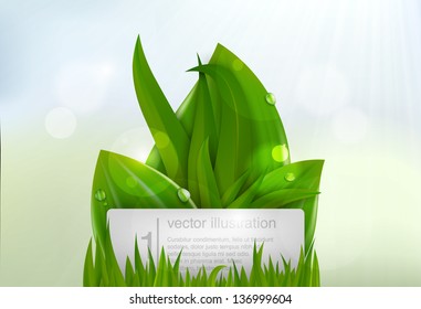 Green grass with a sign for text