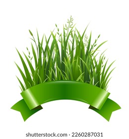 Green Grass And Silk Ribbon