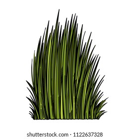 Green grass in sketch style. Vector illustration isolated on white background.