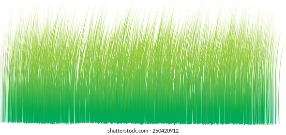 green grass sky