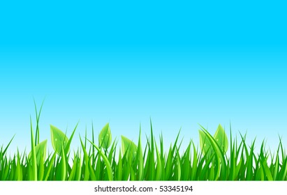 Green grass and sky