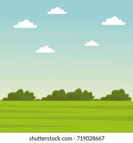 Green grass and sky landscape