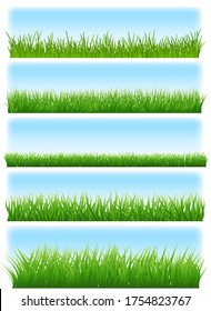 grünes Gras und Himmel auf weißem Hintergrund. Vektorgrafik
