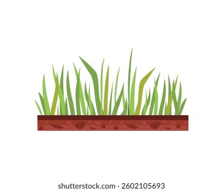 Green grass. Soil ground or underground layers,  grass, land. Nature vector illustration, land ecosystem grass. vector 
