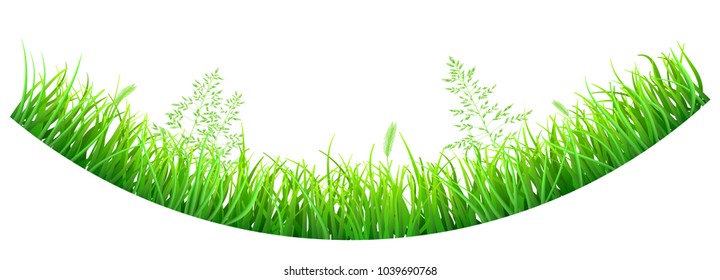 Green grass and spikelets in the shape of an inverted arc on white background
