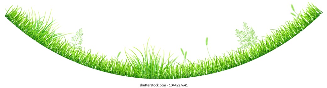 Green grass and spikelets in the shape of an inverted arc on white background