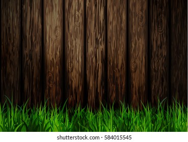 Green grass spring background