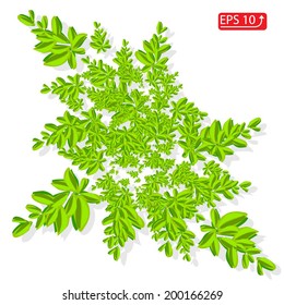 green grass spring branch tree, element landscape design isolated on white background vector