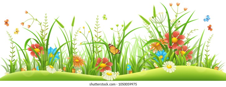 Green grass with spring flowers and butterflies on white background