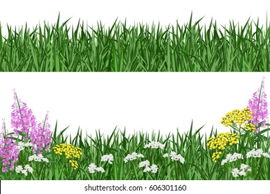 Green grass and spring flowers. Hand drawn vector illustrations on white background for banner design.