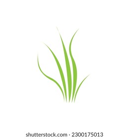 Green grass. Spring. Gazon. Vector icon. web version.
