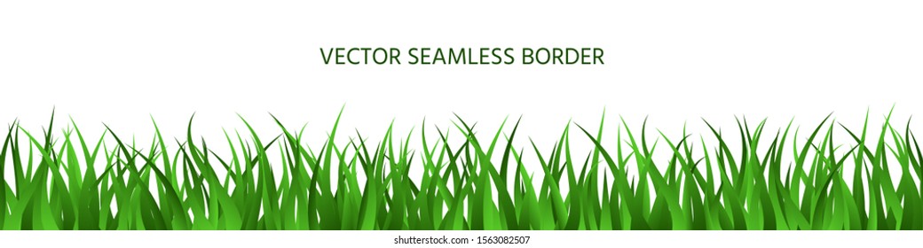 Green grass spring seamless border. Summer herbal panoramic background. Endless lawn isolated on white. Natural herbal horizontal banner. Cartoon colorful floral vector illustration