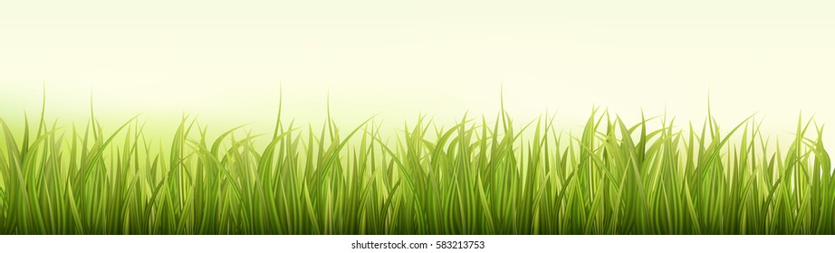 Green Grass. Spring Or Summer Background. Wide, Long Format Good For Web. Vector Illustration.