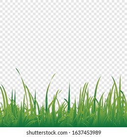 Green grass Spring or summer grass lawn. Photo realistic grass on a transparent background.