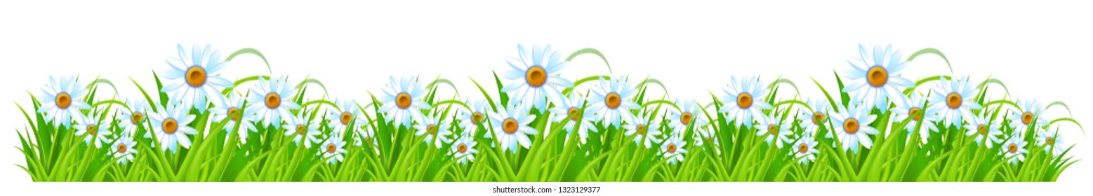 Green grass. Spring time. Vector image.