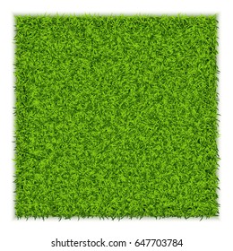 Green Grass Square Background. Eco Home Concept. 3d Vector Illustration