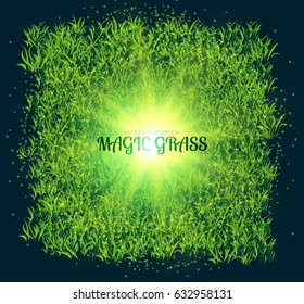 Green Grass Square Banner with Magic Lights. Nature Space. Vector illustration
