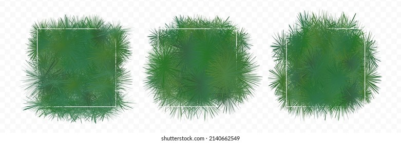 Green grass square border on transparent background spring set vector template. Abstract shrub composition for eco decorative design element. Organic greenery shape illustration frame, grassy cover