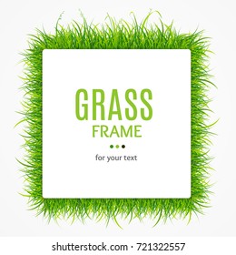 Green Grass Square Box Frame for Design Promotion Banner or Card Decorative Eco Element . Vector illustration of Plant Texture Border