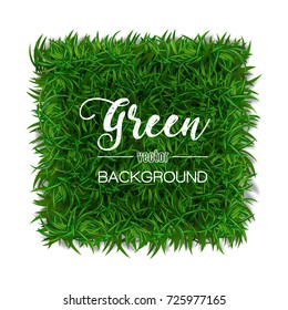 Green grass square field for text. Vector illustration