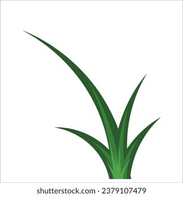 Green grass stock vector drawing 