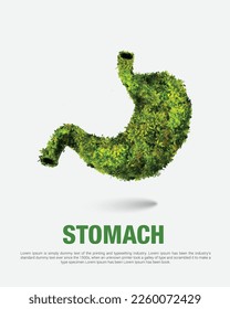 Green grass stomach vector illustration