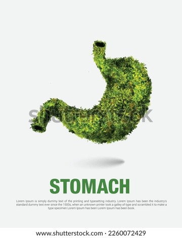 Green grass stomach vector illustration