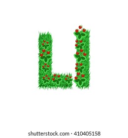 Green grass with strawberry font isolated on white background. For design of nature, organic,ecology,health,spring and summer.