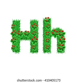 Green grass with strawberry font isolated on white background. For design of nature, organic,ecology,health,spring and summer.