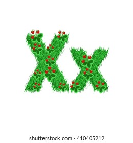 Green grass with strawberry font isolated on white background. For design of nature, organic,ecology,health,spring and summer.