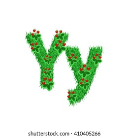 Green grass with strawberry font isolated on white background. For design of nature, organic,ecology,health,spring and summer.