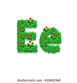 Green grass with strawberry font isolated on white background. For design of nature, organic,ecology,health,spring and summer.