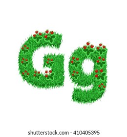 Green grass with strawberry font isolated on white background. For design of nature, organic,ecology,health,spring and summer.