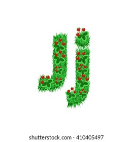 Green grass with strawberry font isolated on white background. For design of nature, organic,ecology,health,spring and summer.
