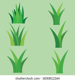 La hierba verde es fuerte en el suelo.