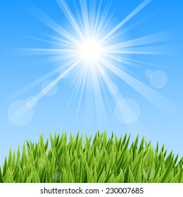 Green Grass And Sun Beam 